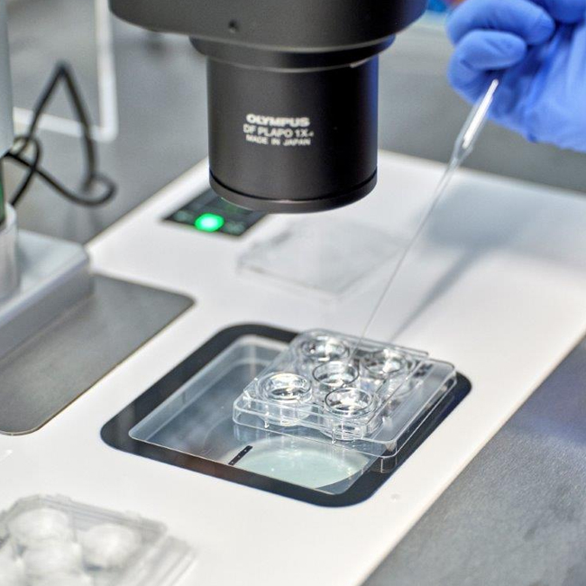 Dr-Elzeiny-IVF-Specialist